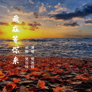 我在等你来伴奏