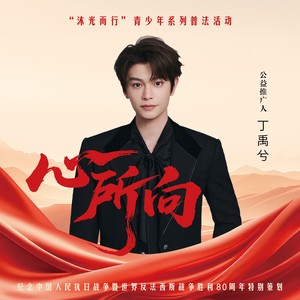 心所向封面