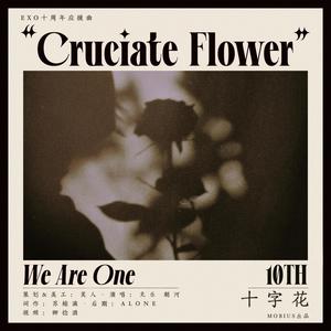 十字花_EXO十周年应援曲
