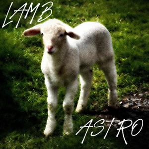 LAMB