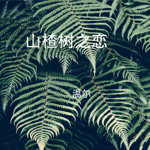 闪烁的星空 (DJ版)