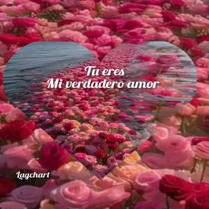 Tu eres mi verdero amor