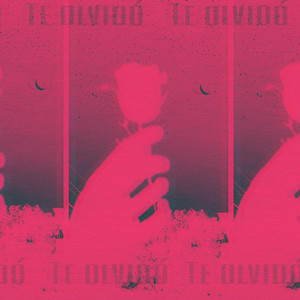 Te Olvidó