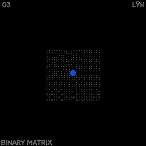 BINARY MATRIX