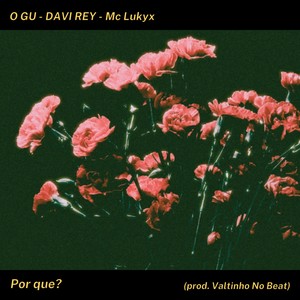 Por Que? (Explicit)