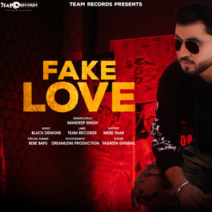 Fake Love - Single