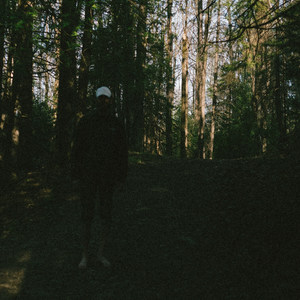 Further Down the Way, Forever Light