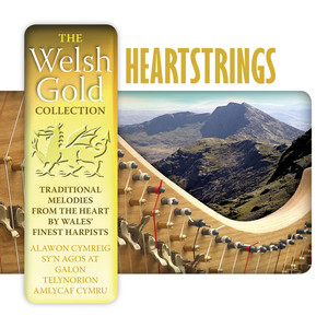 Heartstrings (The Welsh Gold Collection)