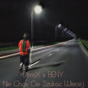 Nie Chcę Cię Szukać Więcej