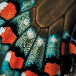 Ebb (feat. Selma Pinton, Samuel Hällkvist & Nils Agnas)