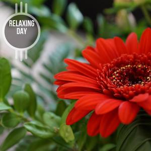 Stress Relief Piano Magic