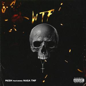 W.T.F (feat. Nasa TNF) [Explicit]