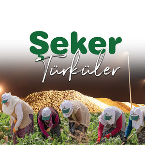 Şeker Türküler