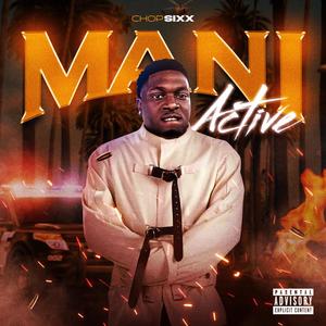 P.S.H (PAIN, STRUGGLE, HUSTLE) (feat. BOMBAY JAY & HUSS MONEY) (Explicit)