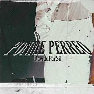 Ponme Perrreo