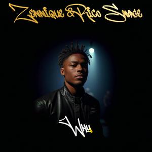 Why (feat. Rico Savage) (Radio Edit)