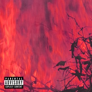 it's LIT! (Feat. Rolldice, CHERRY BOY 17) (Explicit)