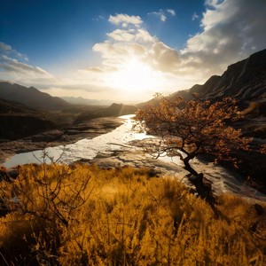 Soft Motion for Balance