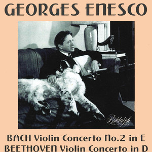 Violin Concerto No. 2 in E Major, BWV 1042 - Violin Concerto No. 2 in E Major, BWV 1042: I. Allegro (Live)