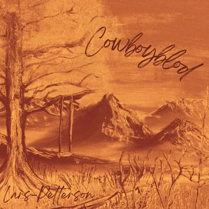 Stjerneskudd (feat. Diamond Face)