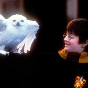 Harry Potter (feat. Garlik) (Explicit)