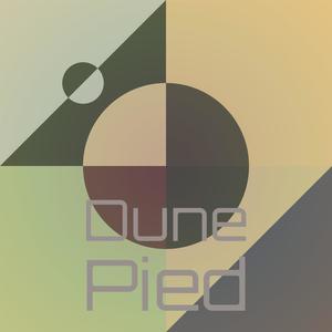Dune Pied