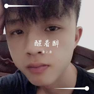 醒着醉-唐小力