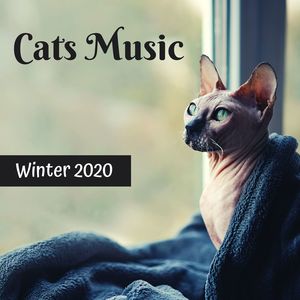 Cats Music Winter 2020: Calming Music Delta Waves for Stressed Cats with Anxiety