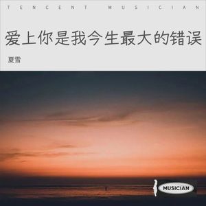 爱上你是我今生最大的错误-夏雪