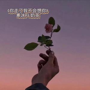 你走了我不会想你 (feat. 奶茶)