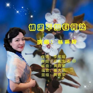 情深不知归何处