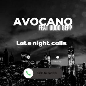 Late Night Calls (feat. Uudo Sepp) (Explicit)