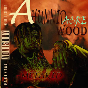 A Hunnid Acre Wood (Explicit)