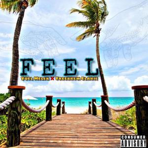 FEEL (feat. Freebrew Elarie) [Explicit]