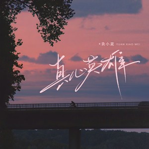 真心英雄 (伴奏) - 袁小葳封面