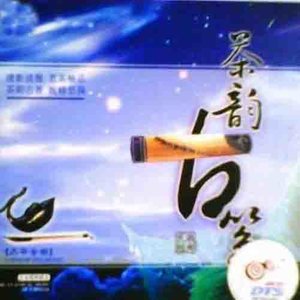 容易受伤的女人封面