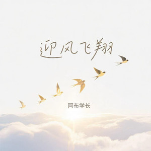 迎风飞翔