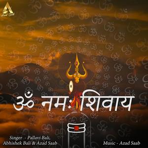 Om Namah Shivay (Mantra)