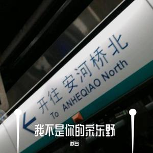 苏白-我不是你的宋冬野