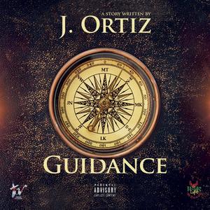 Guidance (Explicit)