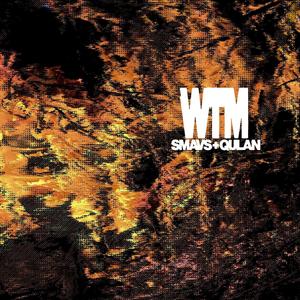 wtm (feat. qulan.) (Explicit)