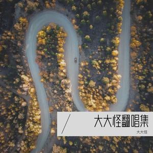 没有理想的人不伤心 (Live)封面