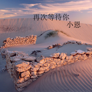 再次等待你