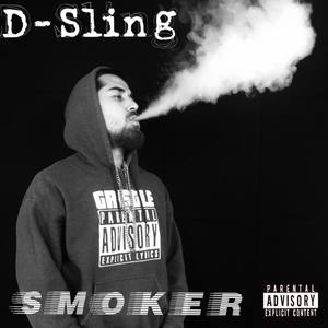 D-Sling - The Box(feat. Danny Gwappo & J.DEZ) (Explicit)