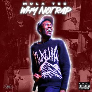 WhyNotRap (Deluxe) [Explicit]