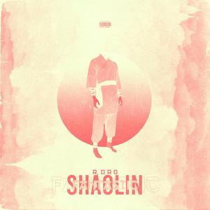 Shaolin Fantastic (Explicit)