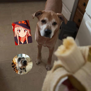 Let's Be Honest (Explicit)