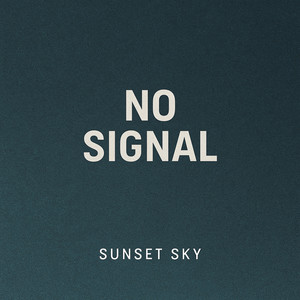 No Signal