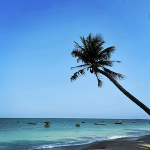 顶级旋律DJ (混搭版)