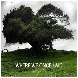 Where We Once Laid (2016)